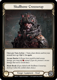 Flesh and Blood Dyadic Carapace CF拡張アート版 Dyadic Flesh and Blood Dyadic Carapace CF拡張アート版 Dyadic